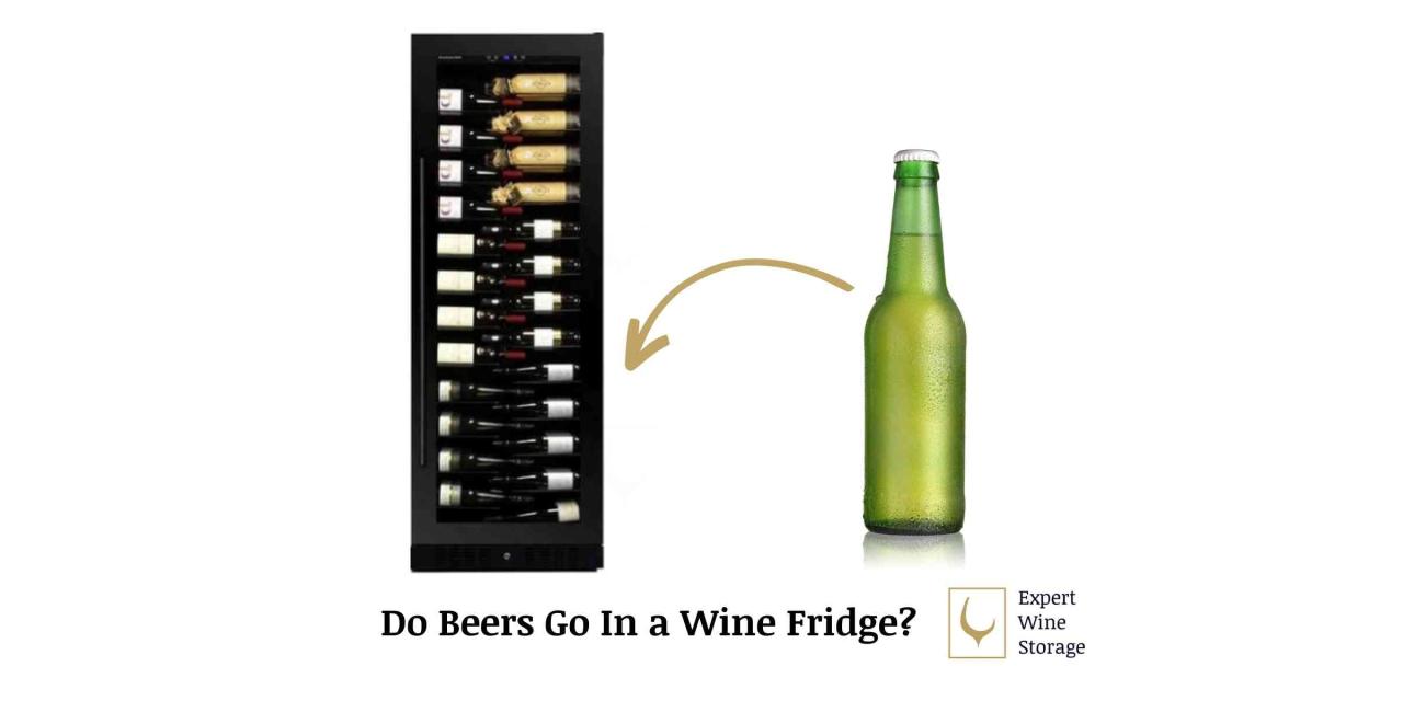 Can You Put Beer In A Wine Fridge? (Full Guide) - Expert Wine Storage
