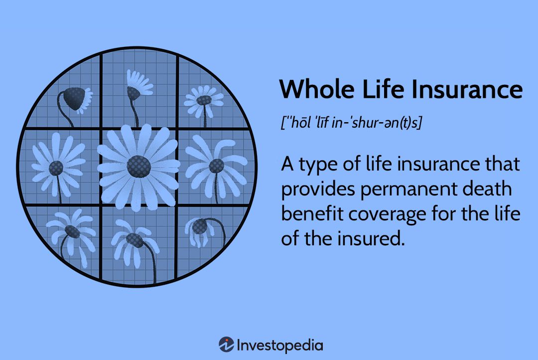 Whole Life Insurance Definition: How It Works, With Examples