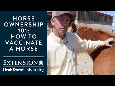 How to Vaccinate a Horse